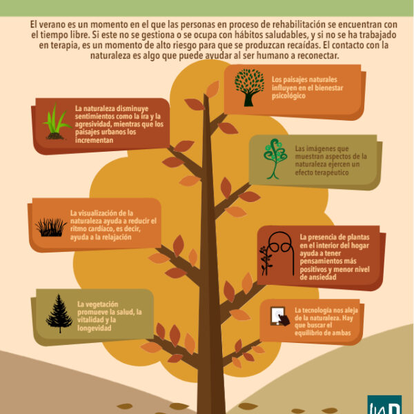 Beneficios de la naturaleza: ¿Cómo mejora tu satisfacción con la vida?