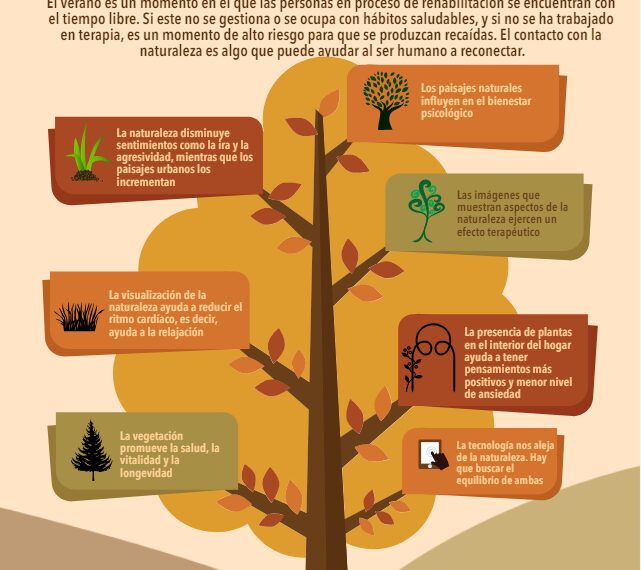 Beneficios de la naturaleza: ¿Cómo mejora tu satisfacción con la vida?