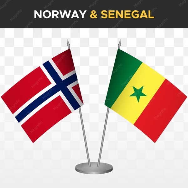 Haaland deslumbra en el Mundial: Doblete ante Senegal que emociona