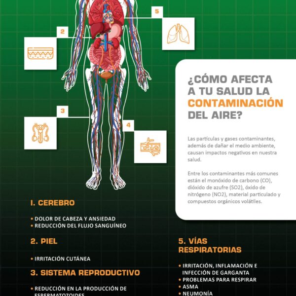 Microplásticos y Corazón: ¿Cómo Afectan Tu Salud Cardiovascular?