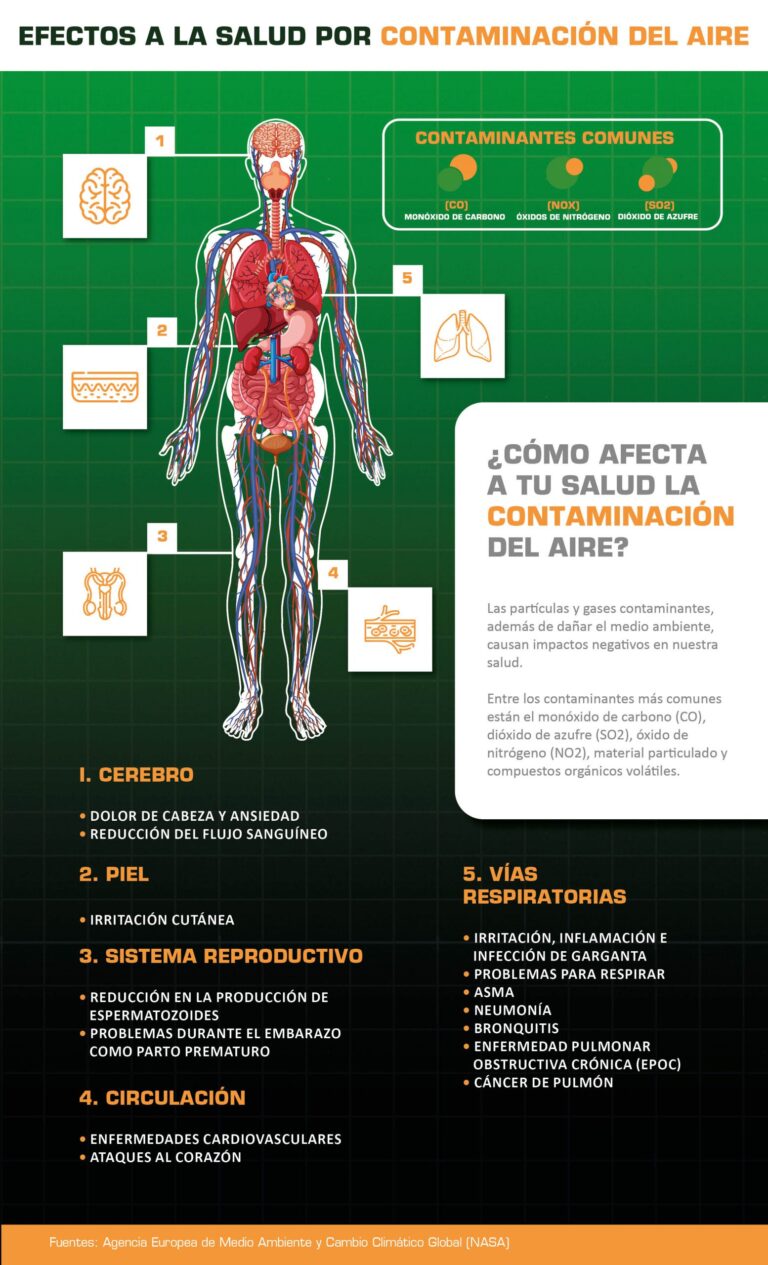 Microplásticos y Corazón: ¿Cómo Afectan Tu Salud Cardiovascular?