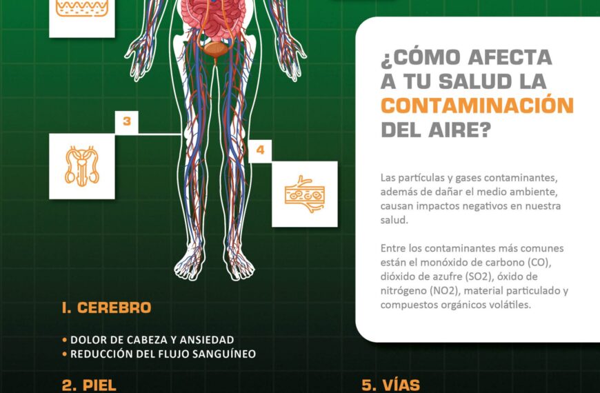 Microplásticos y Corazón: ¿Cómo Afectan Tu Salud Cardiovascular?