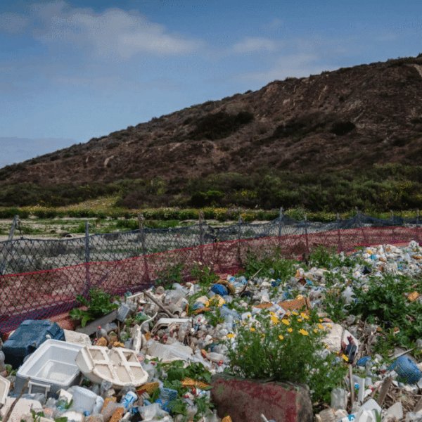 Política Climática en California: ¿Un Modelo para el Futuro?