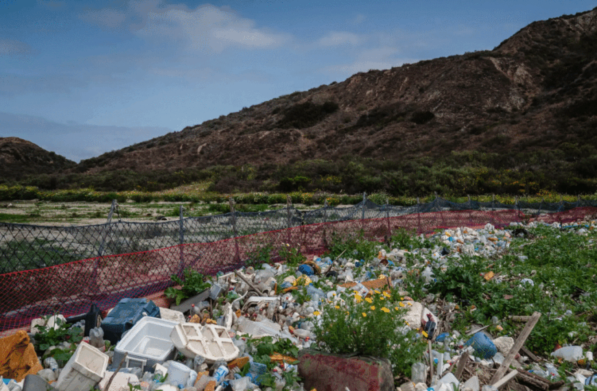 Política Climática en California: ¿Un Modelo para el Futuro?