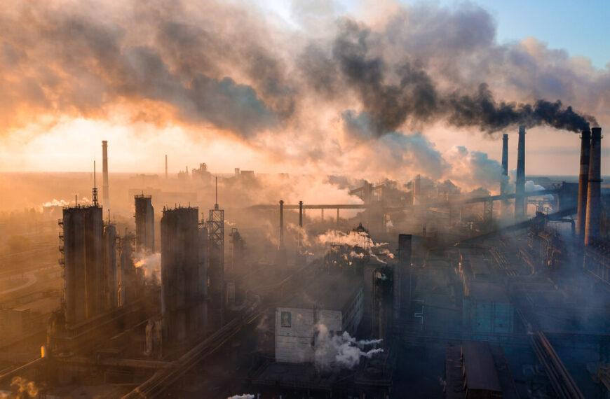 Contaminación del aire: lecciones sobre salud y economía
