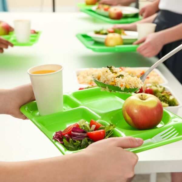 Manejo de desechos escolares: Cómo empacar almuerzos sin desperdicio