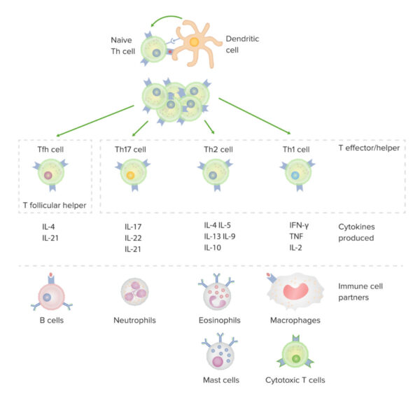 Tratamiento cáncer pediátrico: Avances prometedores en investigación