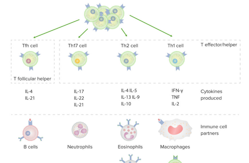 Tratamiento cáncer pediátrico: Avances prometedores en investigación