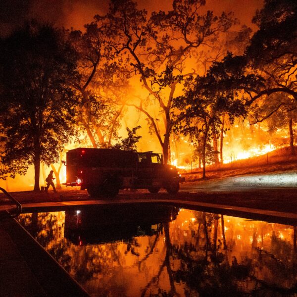 Incendios forestales EE. UU.: Reno sufre devastadoras evacuaciones