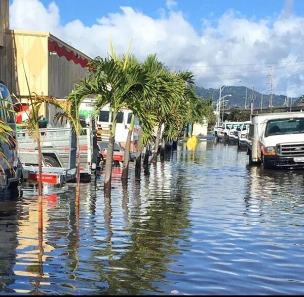 Nor’easter: ¿Cómo impactan las tormentas a la costa este?
