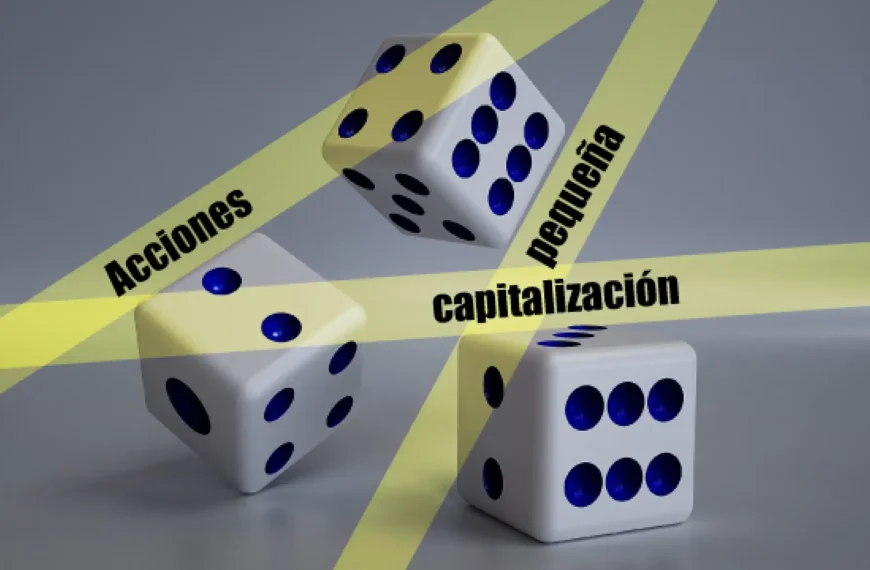 Acciones de pequeña capitalización: ¿Una oportunidad duradera o un riesgo?