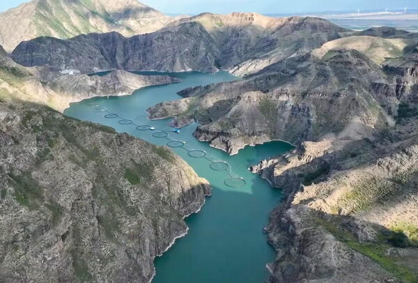 Mariscos de Xinjiang: ¿el futuro de la acuicultura o un engaño?